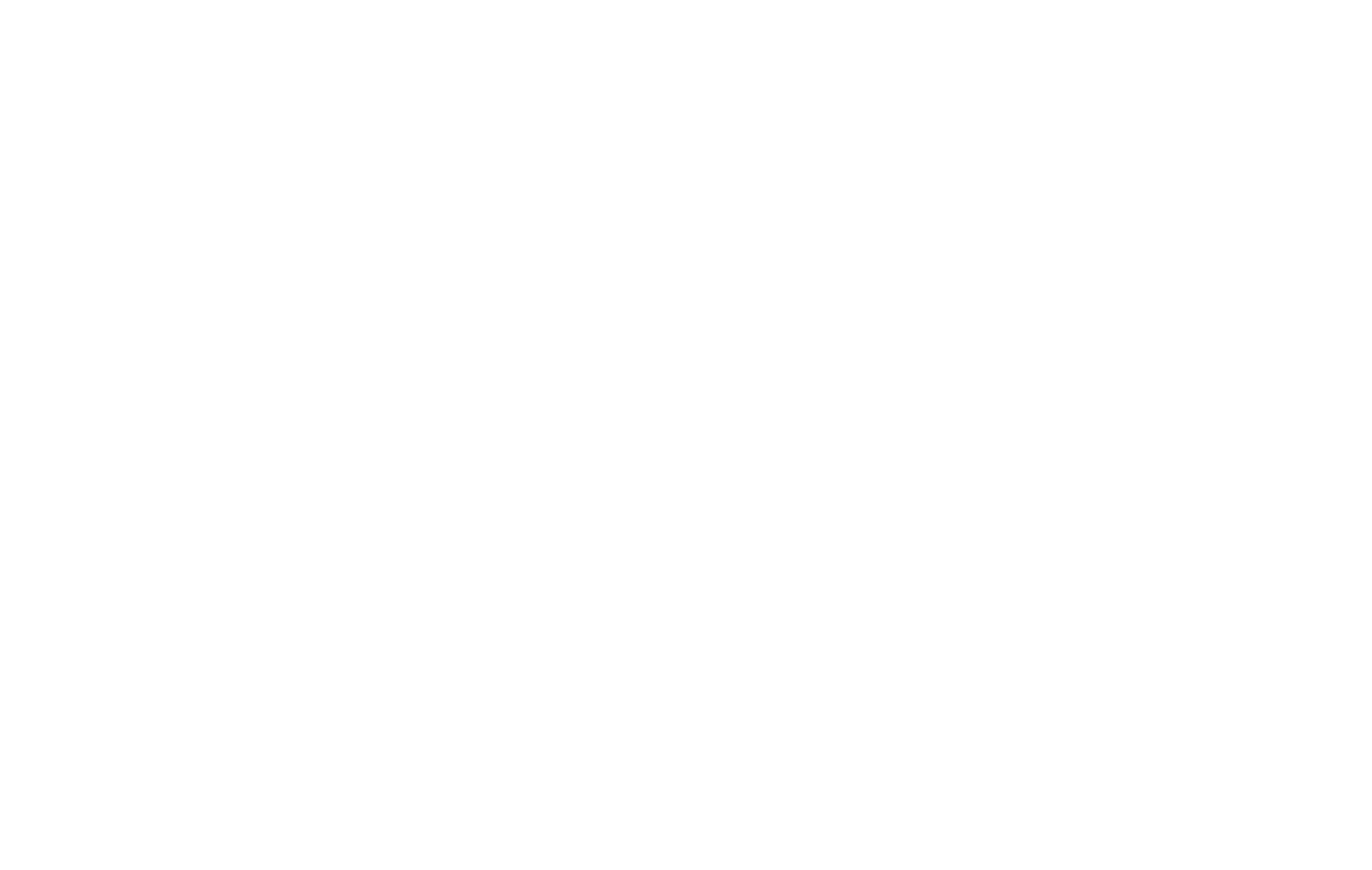 SBU University Libraries Logo